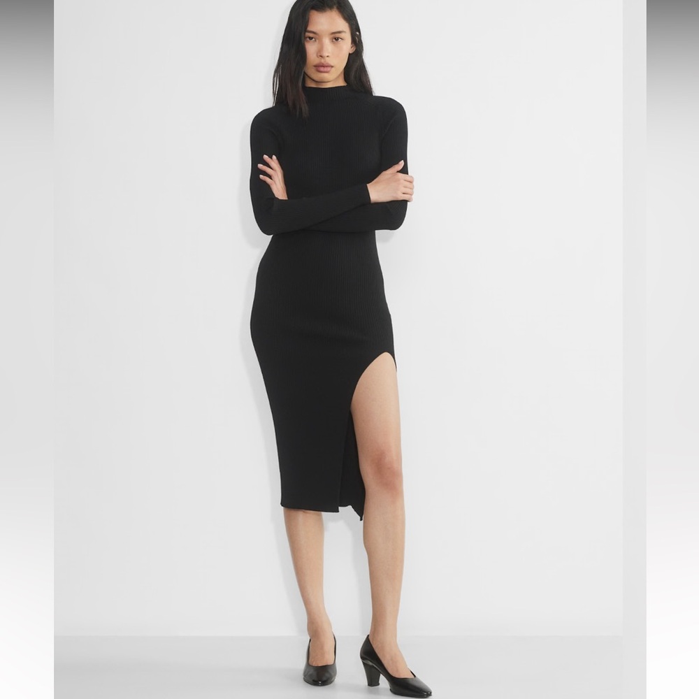 NWT aritzia wilfred alchemy dress
